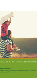 Lalux Document Img Alt